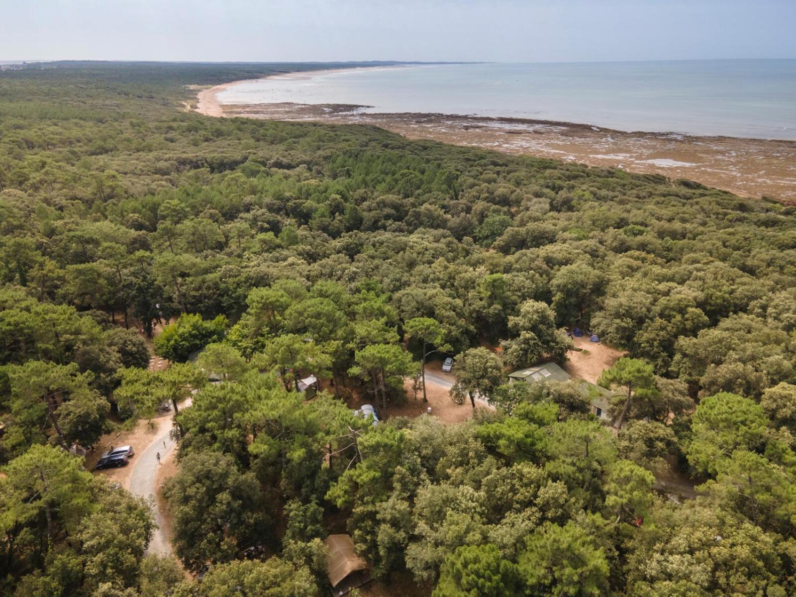 Huttopia Oleron Les Chenes Verts Долю-д'Олерон Экстерьер фото